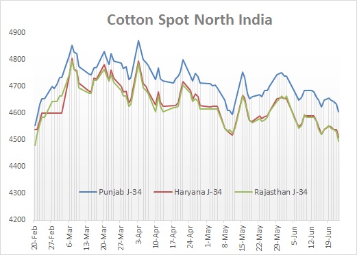 Cotton Price Chart India