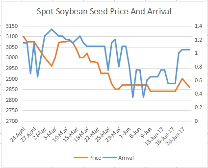 Soya Bean Price Chart India