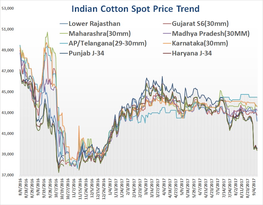 Cotton Spot Price Chart
